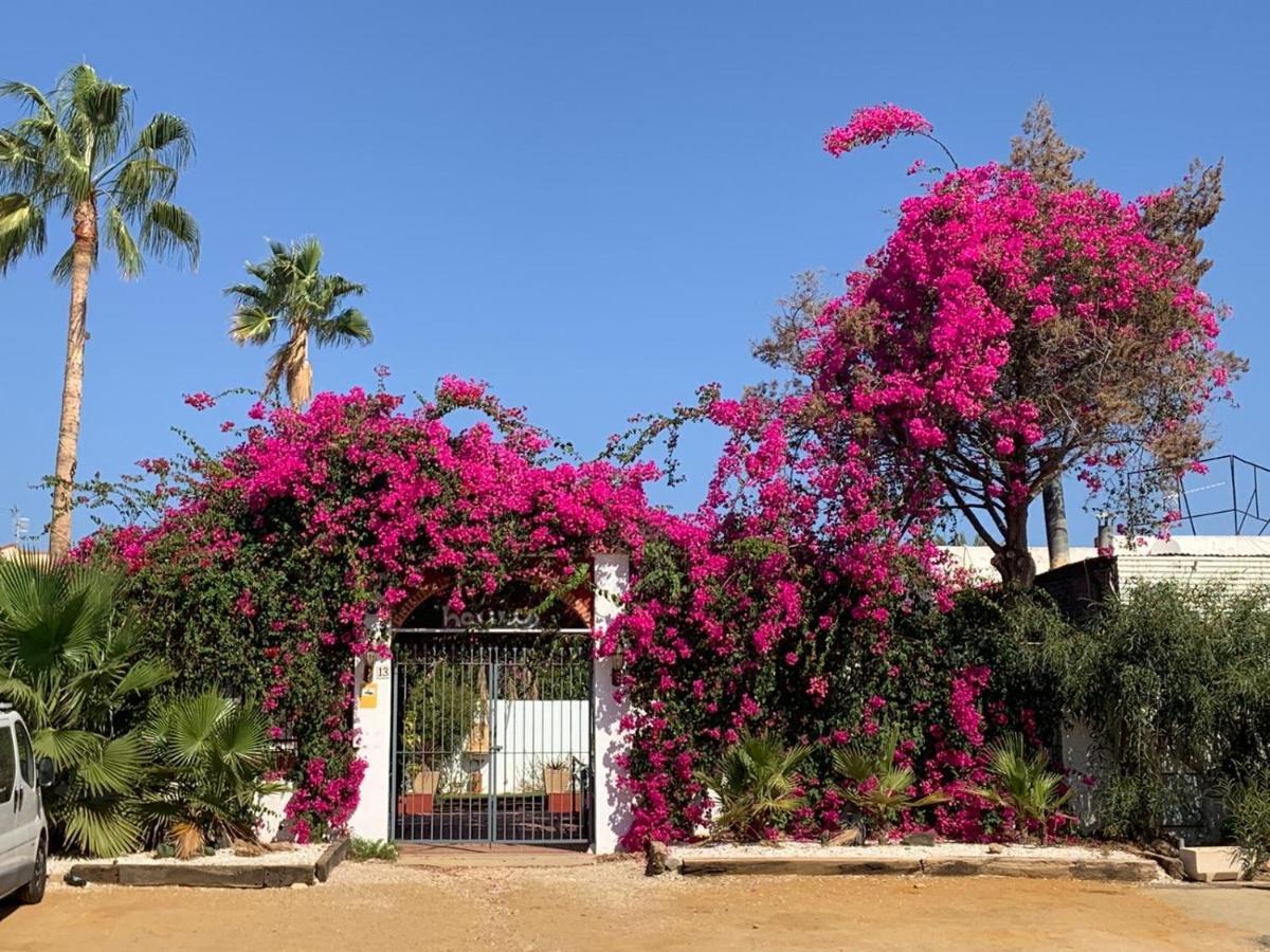 Casa Tranquila Villa San Juan De Los Terreros Exterior photo